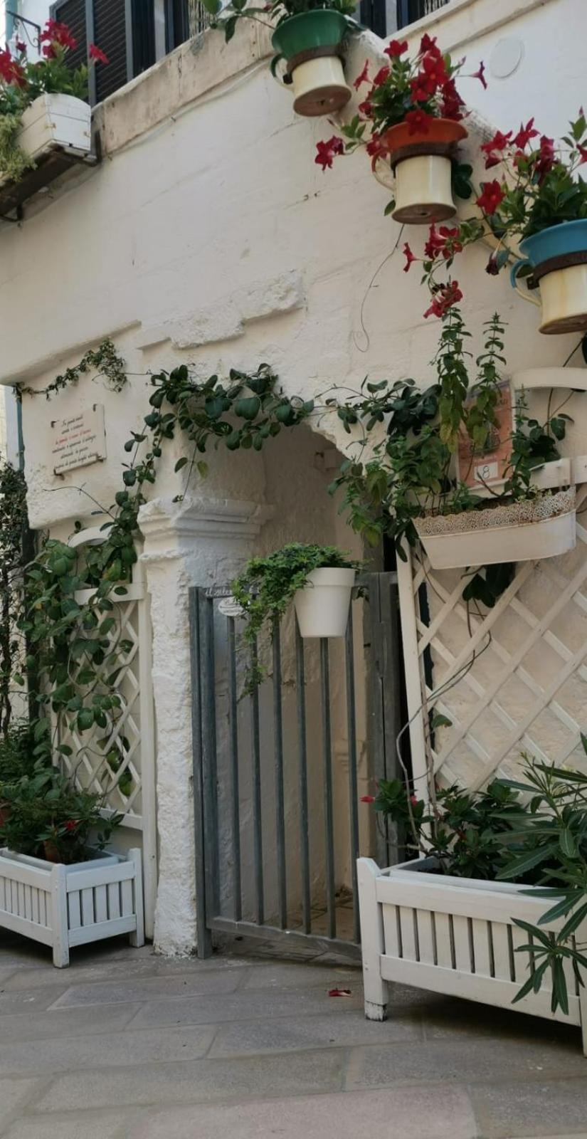 Amoredimare Casa Vacanze Polignano a Mare Εξωτερικό φωτογραφία